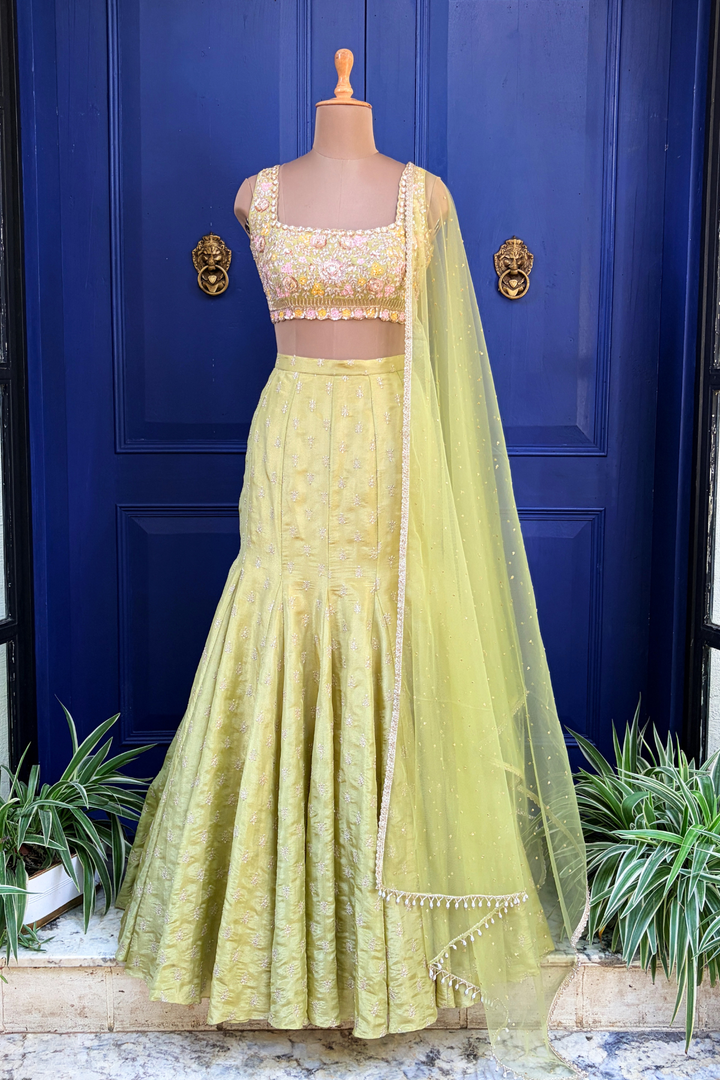 Monet fit and flare skirt