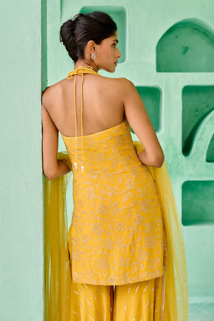 FIZA SHARARA