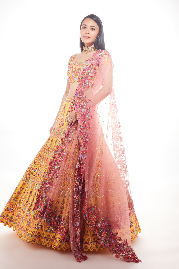 Yellow Zeba