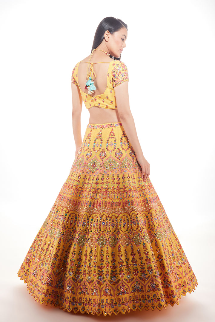 Yellow Zeba