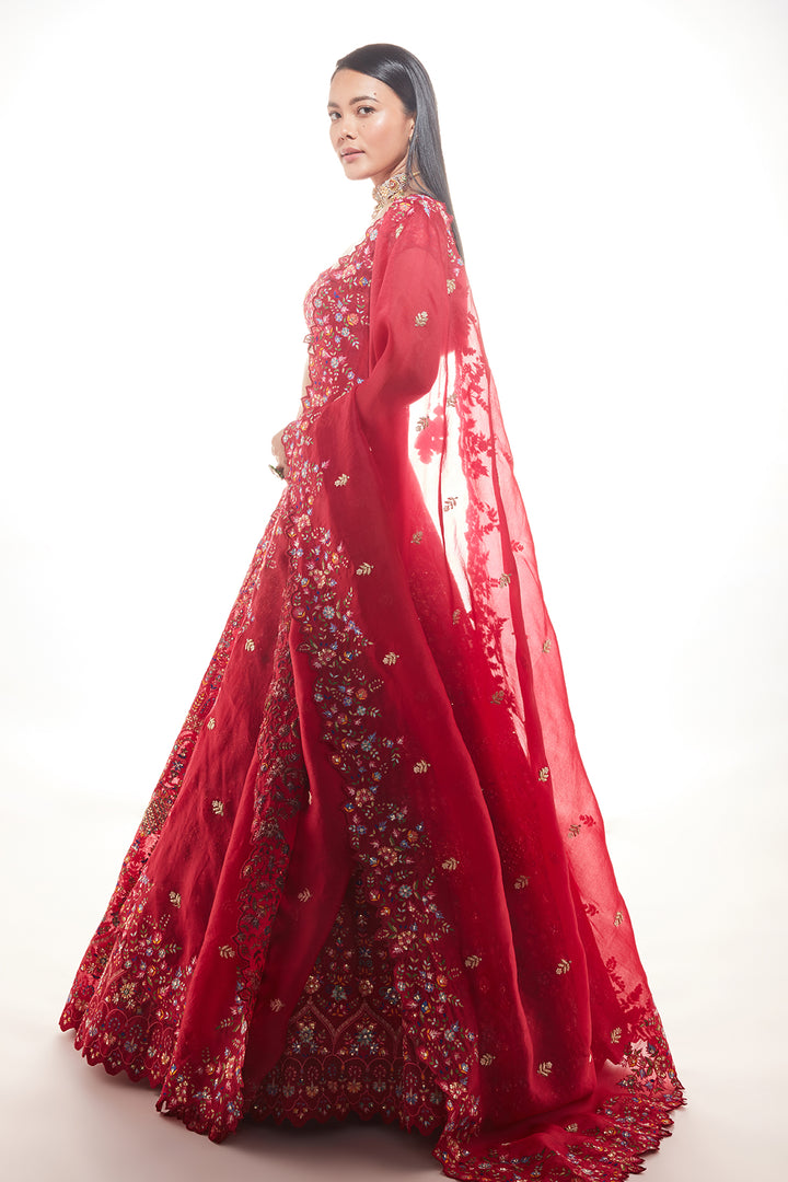 red zeba